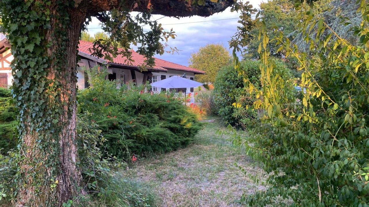 Cool Landes Villa Sainte-Eulalie-en-Born Екстериор снимка