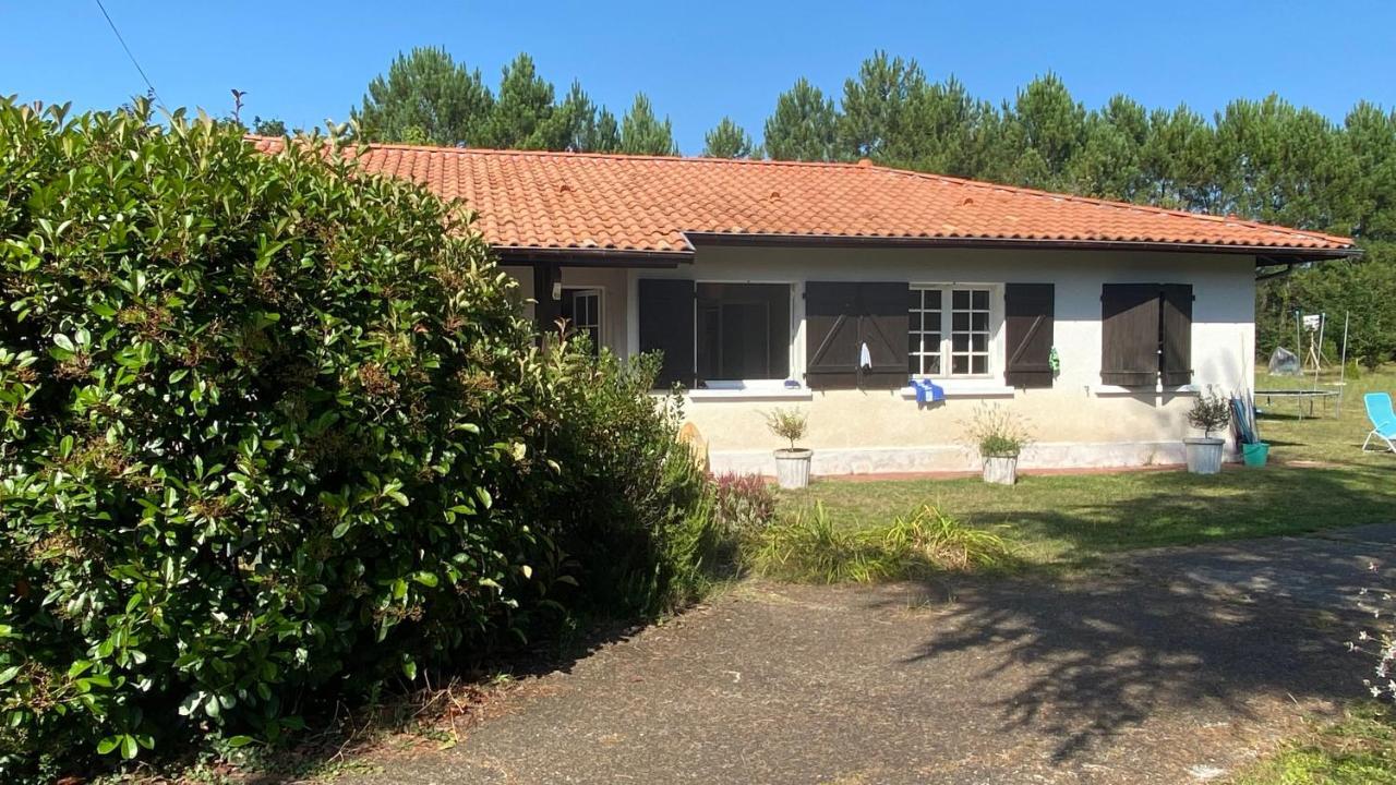 Cool Landes Villa Sainte-Eulalie-en-Born Екстериор снимка